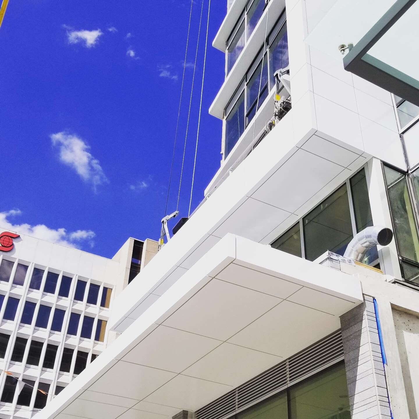 WhatsApp Image 2026-02-03 at 1.46.20 AM