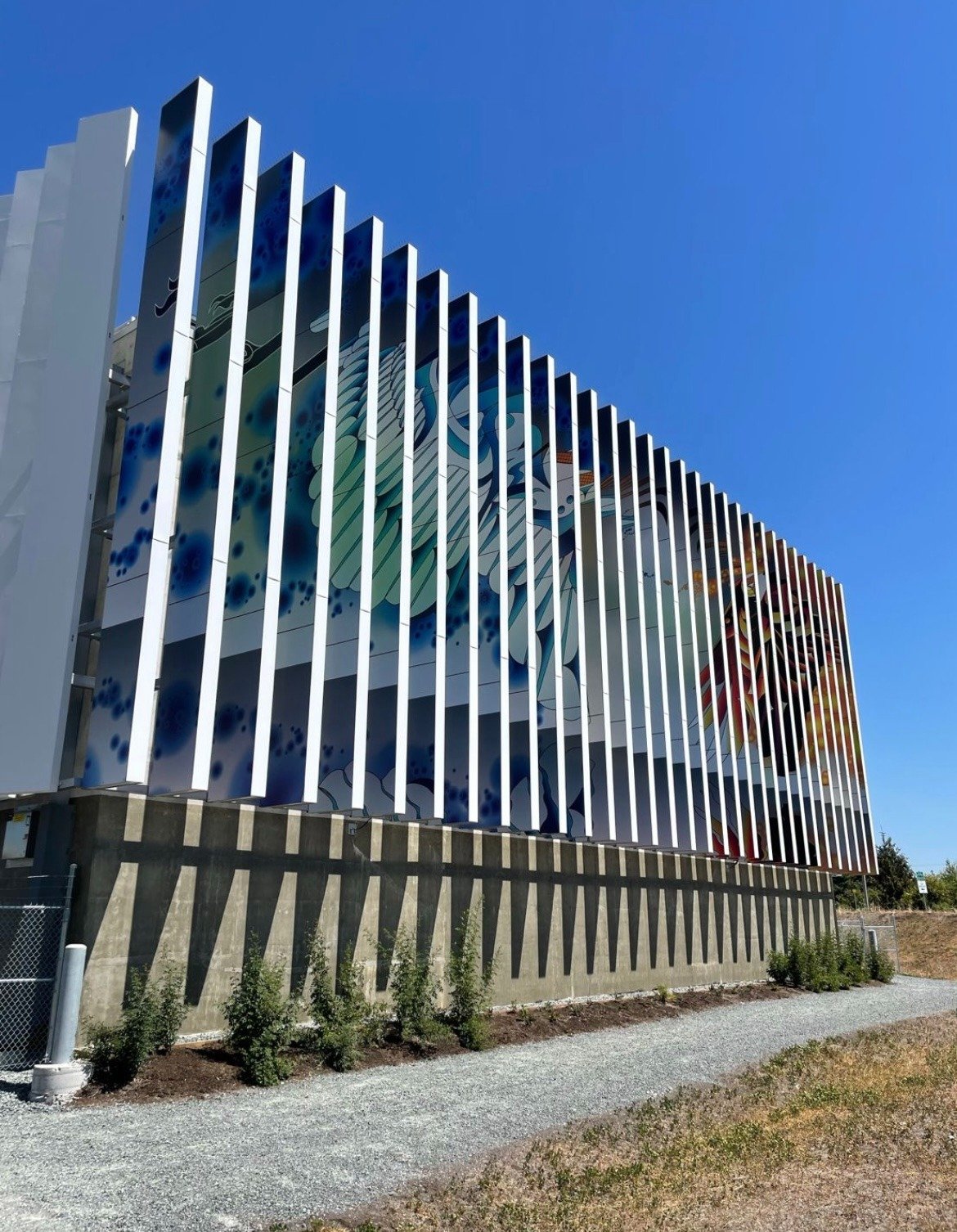 WhatsApp Image 2026-02-03 at 1.52.16 AM